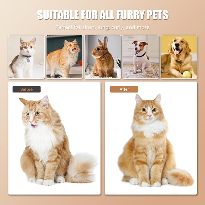 Cloud Care Cat Brush for Indoor Cat Steam Brush for Shedding Spritz Defur Comb - Image 7