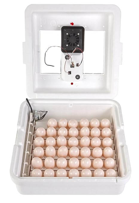 Little Giant® Digital Circulated Air Incubator | 41 Eggs | Egg Incubator - Image 4