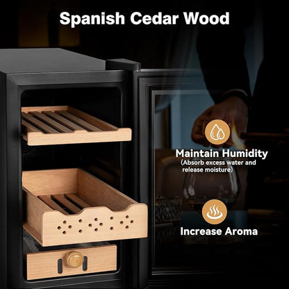 Electric Cooler Cabinet 25L - Image 4