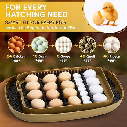 HIRALIY Incubator for Hatching Eggs, 48 Quail Capacity, Chicken & Quail Egg - Image 3