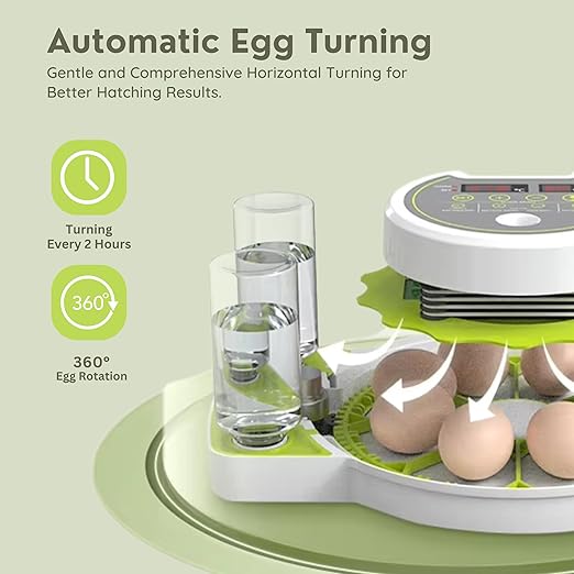 ME JO Egg Incubator for Hatching Eggs - Image 3