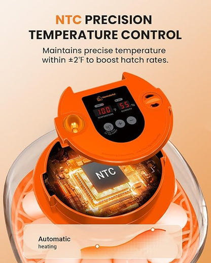 12 Egg Incubator with Automatic Turning & Humidity Control, Fully Automatic - Image 3