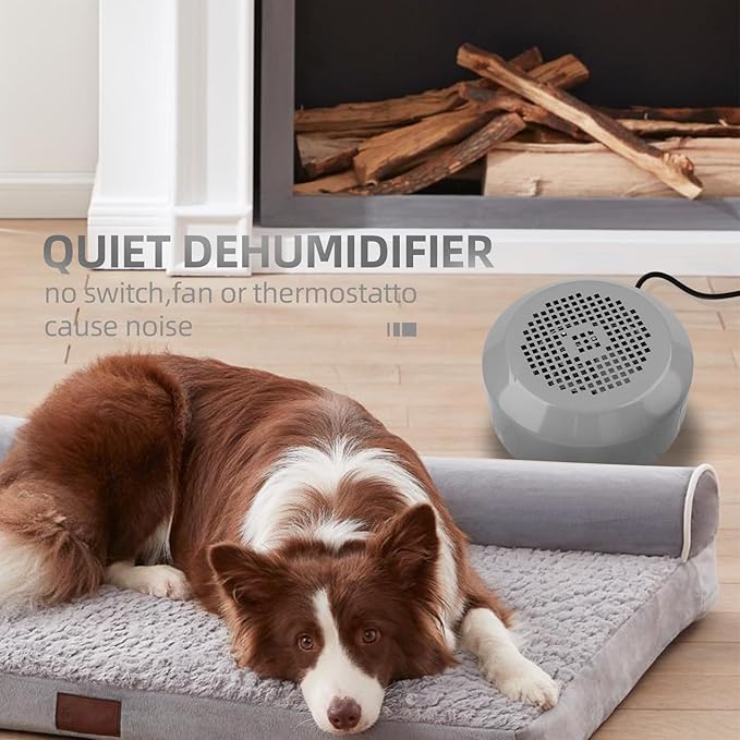 Air Dryer Made by Durable Material Removes Water from The Air in a Room Used - Image 6