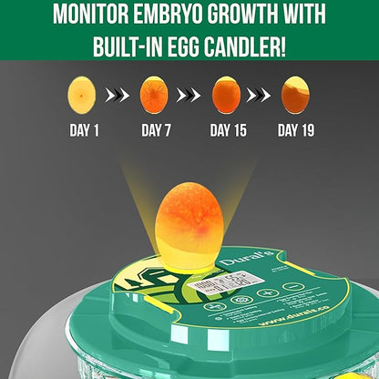 Dural's DX5® | Professional 18 Egg Incubator - Image 7