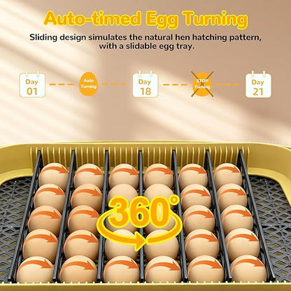 24 Egg Incubator with Temperature Control & Humidity Monitoring, Automatic Egg - Image 5