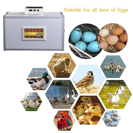 Egg Incubator ，Farm Egg Incubator - Image 6