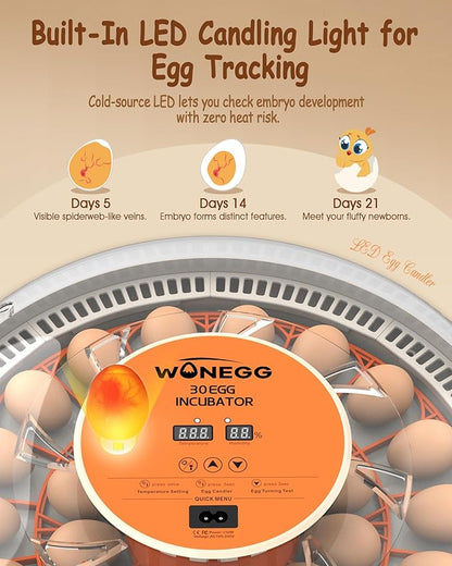 30 Egg Incubators for Hatching Eggs - Image 4