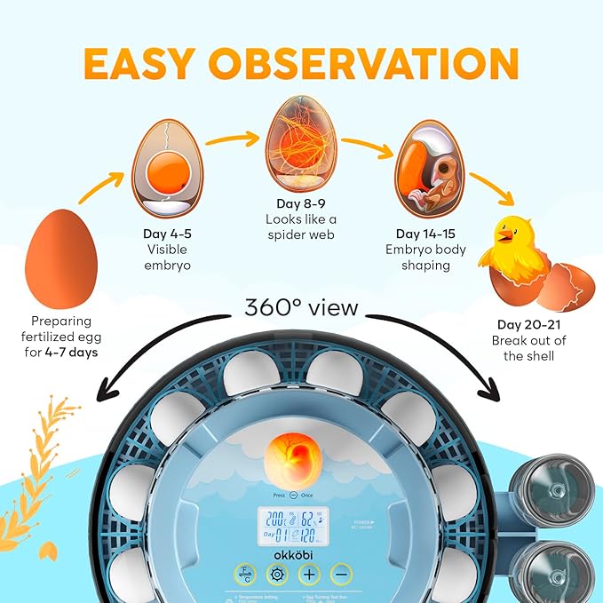 18 Egg Incubator with Automatic Egg Turning and Humidity Control – Egg - Image 4