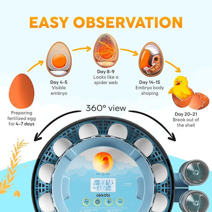 18 Egg Incubator with Automatic Egg Turning and Humidity Control – Egg - Image 4
