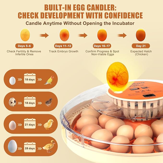 Smart Lite 30-Egg Incubator for Experienced Hands-On Hatchers, Auto Egg Turn - Image 3