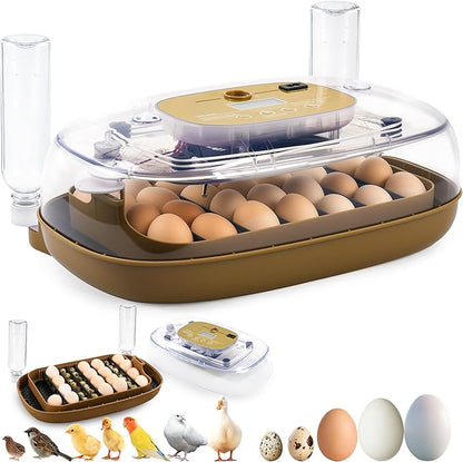 Incubators for Hatching Eggs, 24 Egg Incubator by Unknown