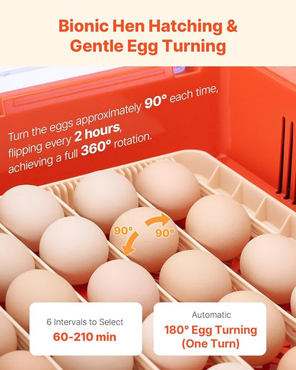 VEVOR 36 Egg Incubator, Automatic Egg Turner - Image 4