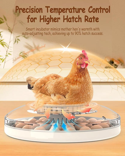 30 Egg Incubators for Hatching Eggs - Image 3