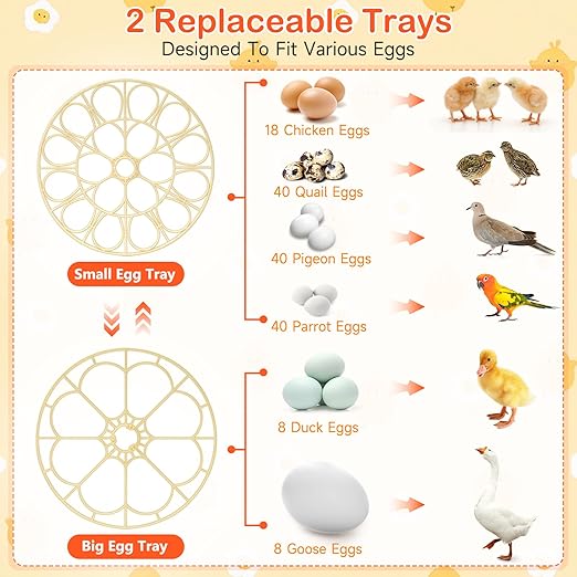 18 Egg Incubator for Chicken Eggs, Automatic Egg Turning and Humidity Control - Image 9