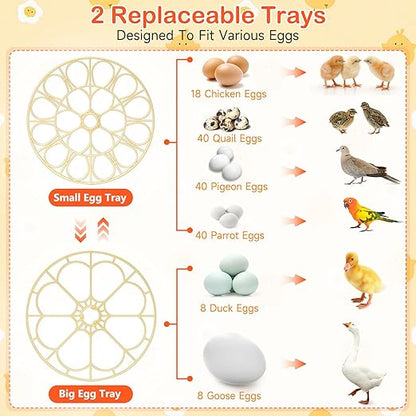 18 Egg Incubator for Chicken Eggs, Automatic Egg Turning and Humidity Control - Image 9