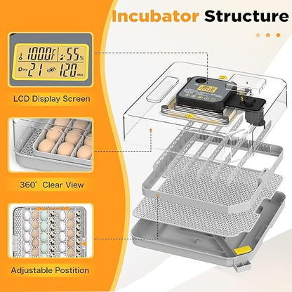 Incubator for Hatching 48 Eggs - Image 3