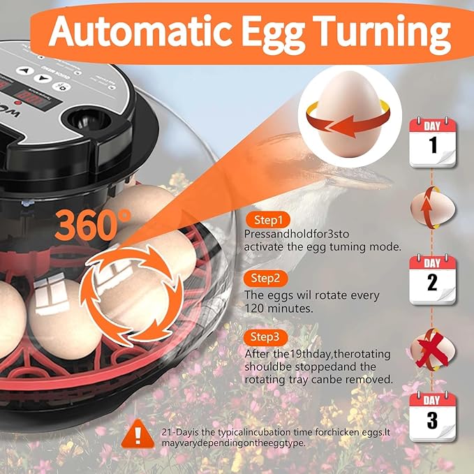 Egg Incubators for Hatching Eggs, Incubator for 12 Eggs Automatic Turning - Image 3