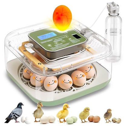 Incubator for Hatching Eggs Automatic Humidity and Temperature Control 12 Eggs by Unknown
