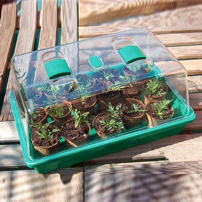 Propagator with Humidity Vents Domes, Heavy Duty Growing Tray Mini Greenhouse - Image 2