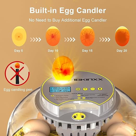 Incubator for Hatching Eggs-12 Egg Capacity, Automatic Egg Turner, Temperature - Image 3