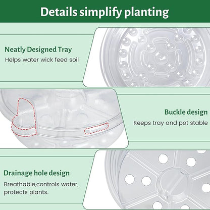 12 Pack 6.5 Inch Clear Self Watering Plant Pots - Image 5