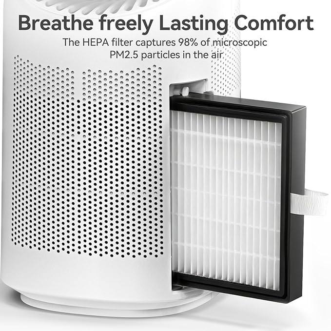 Dehumidifier with Purification Function - Image 4
