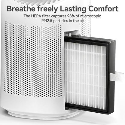 Dehumidifier with Purification Function - Image 4
