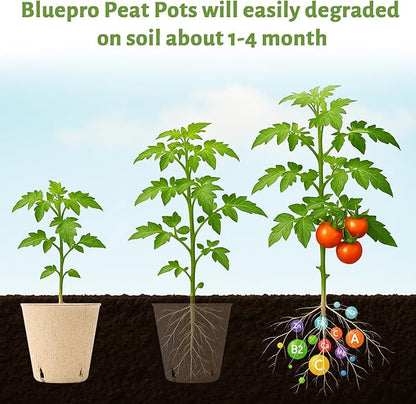 120 Packs 3.15 Inch Peat Pots, Biodegradable Pots - Image 4