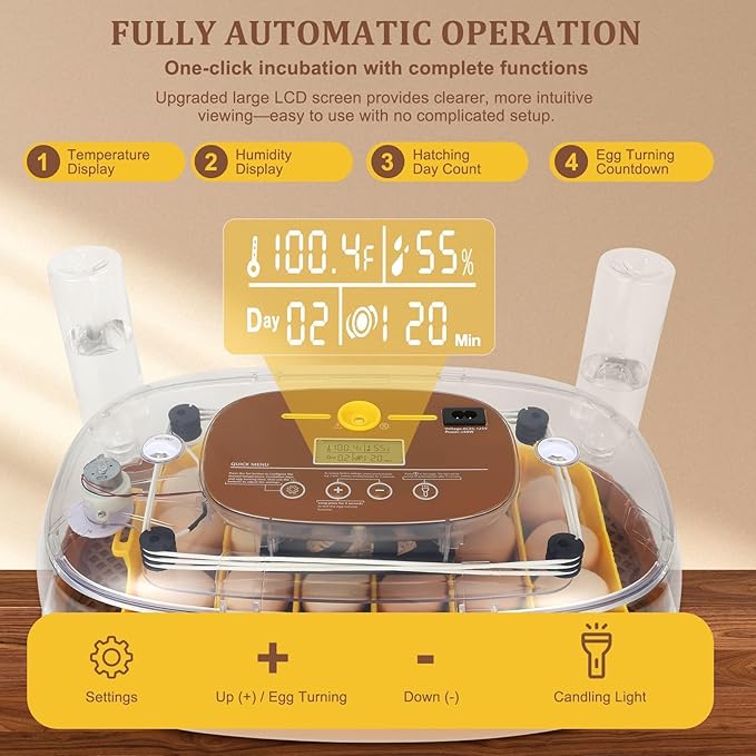 Smart 24-Egg Incubator for Hobbyists, Full-Stage Adaptive Humidity & Temp - Image 2