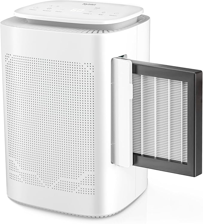 Dehumidifier and Air Purifier Combo HEPA H13 Filter and Negative Air Ion - Image 2