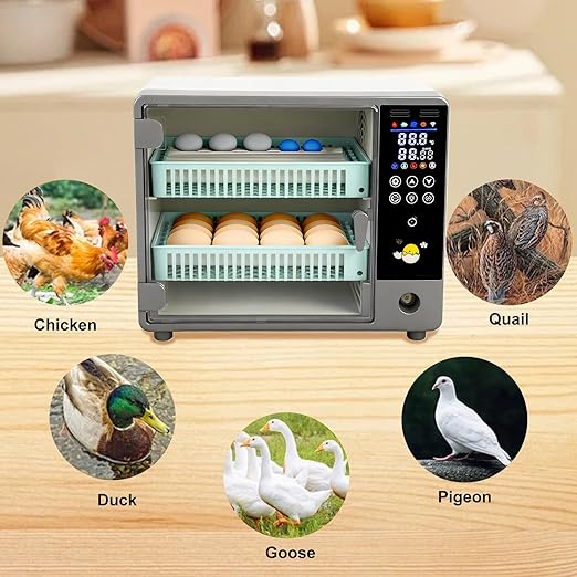 24 Egg Incubator, Automatic Egg Turner Hatching Machine - Image 8