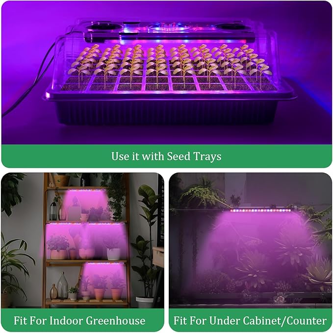 Verdenu Seed Starter Tray with Grow Light, 2 Pack 80 Cells Seed Starter Kit - Image 6