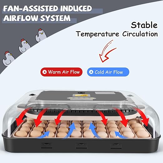 Sailnovo Incubators for Hatching Eggs 70 Egg Incubator - Image 3