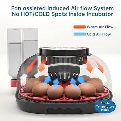 12-24 Egg Incubator with Humidity Display, Egg Candler, Automatic Egg Turner - Image 5