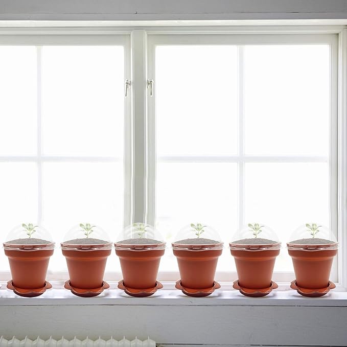 30 Pack Cupcake Plant Nursery Pots - Image 4