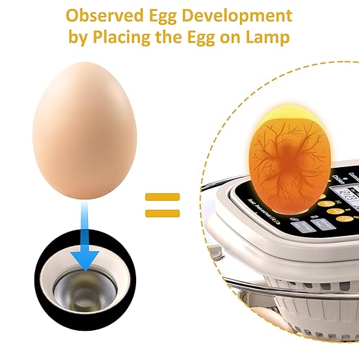 18 Egg Incubator with Automatic Egg Turning and Humidity Control, Intelligent - Image 4