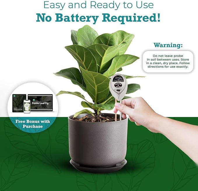 Houseplant Resource Center Fiddle Leaf Fig 3-in-1 Soil Moisture Meter - Image 4