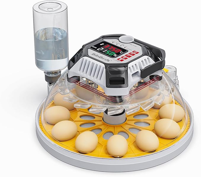 Incubators for Hatching Eggs - Image 2