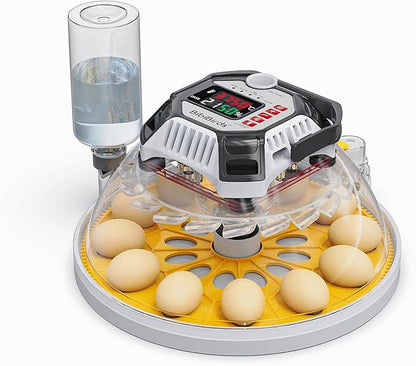Incubators for Hatching Eggs - Image 2