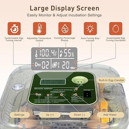4th Gen – 12 Egg Fully Automatic Incubator, 2026 Upgraded Design, Intelligent - Image 3