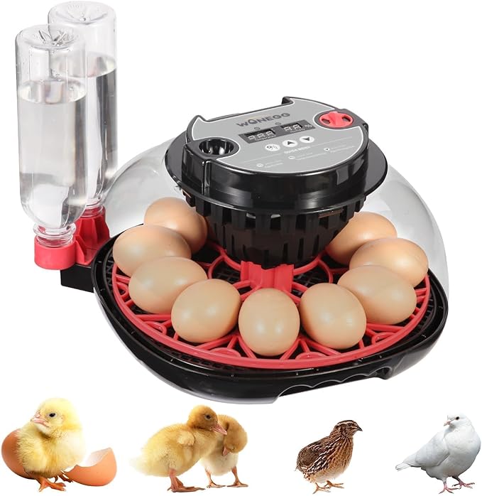 Simple Plus 12-Egg Incubator for Beginners, Full-Stage Adaptive Humidity & Temp by ZEMIROCHARGE