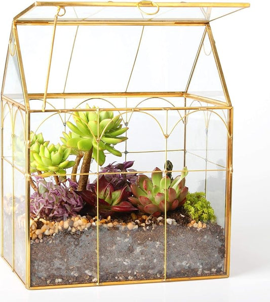 Glass Geometric Plant Terrarium, Succulent & Air Planter by ELEGANTLIFE