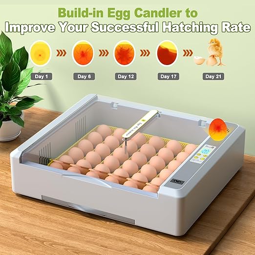 36 Eggs Incubator for Hatching Chicken/Goose/Quail/Duck/Turkey Eggs, 360° View - Image 5