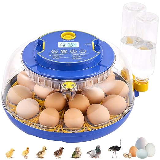 18 Egg Incubator with Auto Turn & Humidity Control, 360° View Poultry Hatcher by Unknown