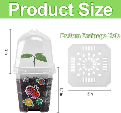 EBaokuup 10 Pack Clear Plant Nursery Pots - Image 2