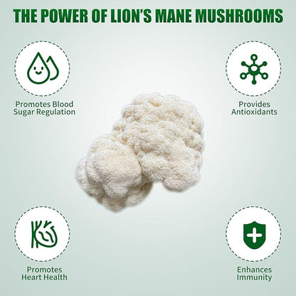 Large Organic Lion's Mane Mushroom Grow Kit - Image 7