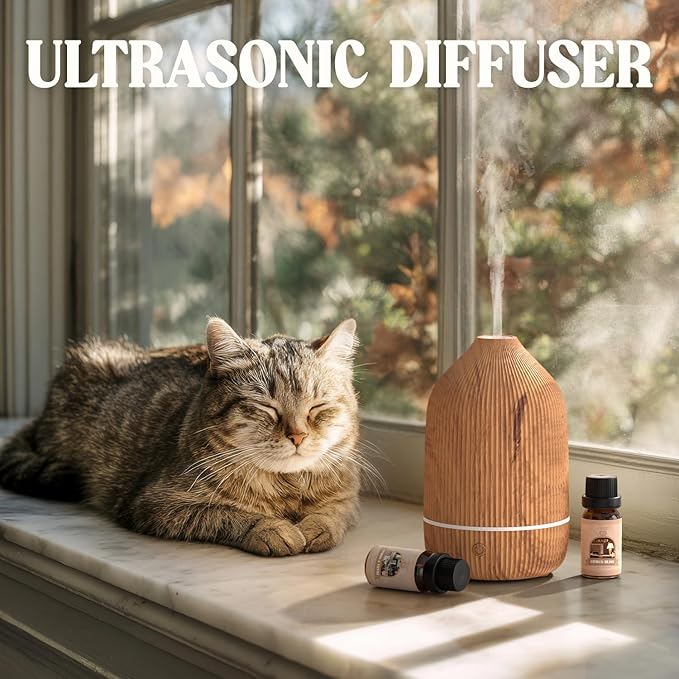 Essential Oil Diffuser, 100ml Aromatherapy Diffuser, Mini Ultrasonic Diffuser - Image 7