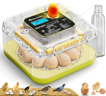 Egg Incubators for Hatching Eggs, 12 Egg Incubator by Unknown