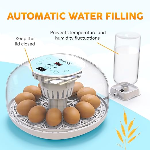 M12 Incubators for Hatching Eggs - Image 3