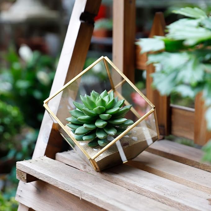 ELEGANTLIFE Glass Geometric Plant Terrarium, Succulent & Air Planter - Image 6